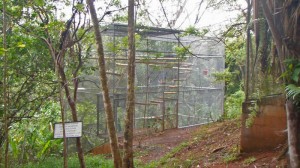 KSTR monkey cage