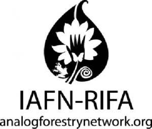 International Analog Forestry Network