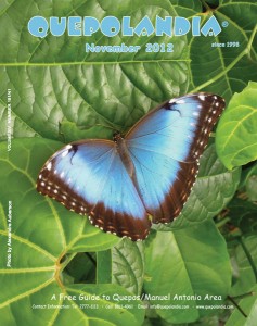 Cover November 2012
