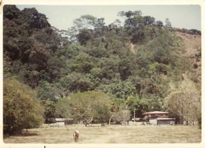La Casona 1977
