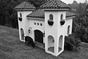 doghouse-Spanish Colonial