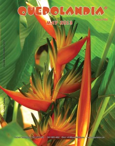 Cover May 2013