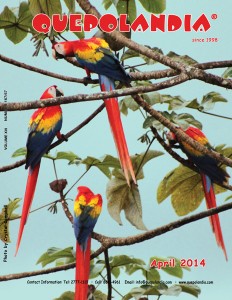 Quepolandia April 2014 cover