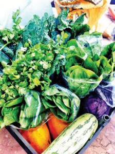 Basket of fresh vegetables