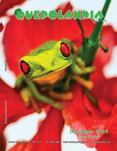 December 2014 cover
