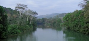 Rio Barú