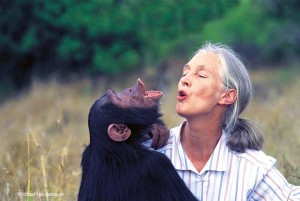 Jane Goodall hooting with a chimp