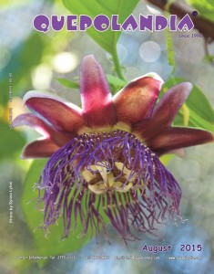 August 2015 cover