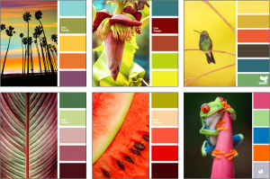 Colour schemes from nature