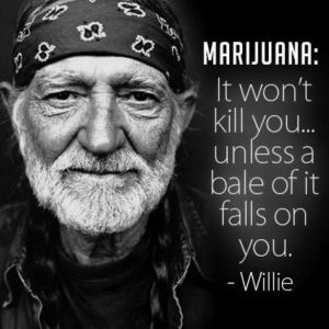Marijuana won't kill you