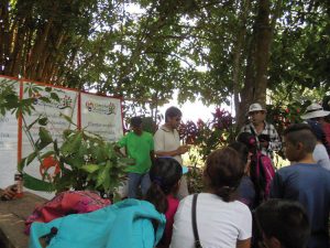 Introduction to the tree planting program