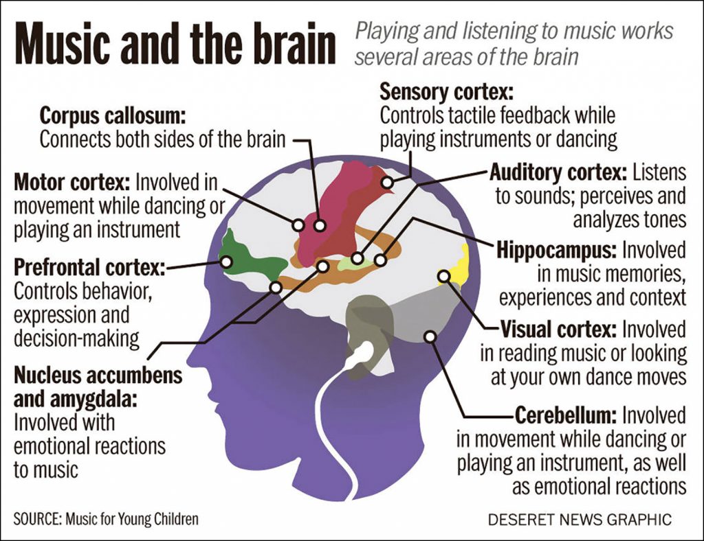 Brain activity on music