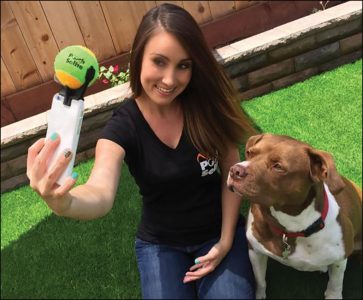 Dog selfie distractor