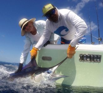 Blue Marlin tagged & released