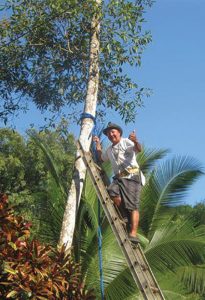 Lenin Rosales, part of the KSTR team, in 2002 putting up a bridge.  He shimmied up the trees for KSTR!