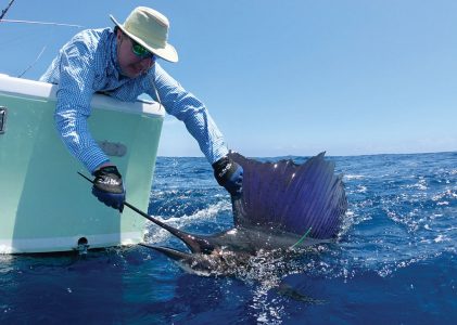 Blue marlin catch and release