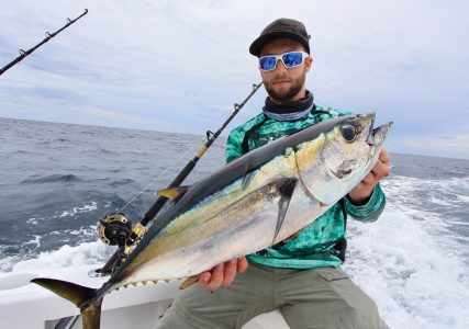 Yellowtail Tuna