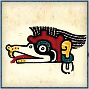 Maya King Vulture