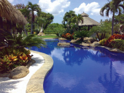 Tropical pool and patio