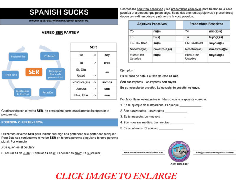 Spanish Sucks click to enlarge