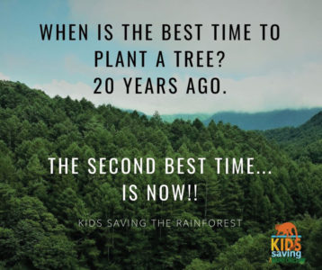 When is the best time to plant a tree? 20 years ago. The second best time is now.