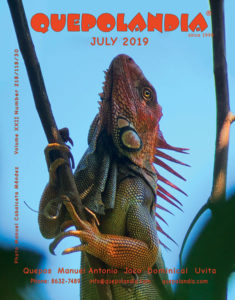 July 2019 cover
