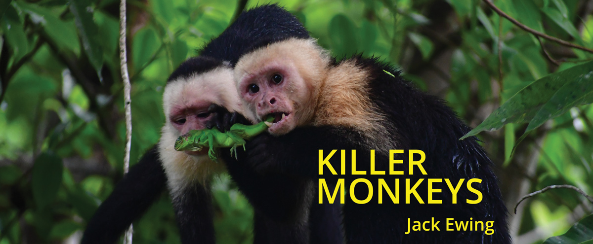 Killer Monkeys header