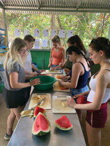 Volunteers preparing animal  meals