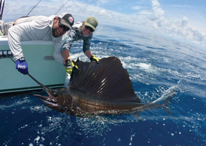 Two men holding a sailfish