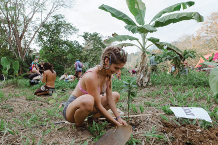 Young woman planting a tree