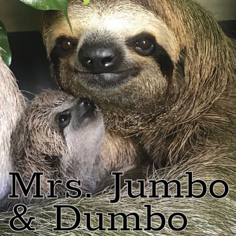 Mrs. Jumbo and Dumbo