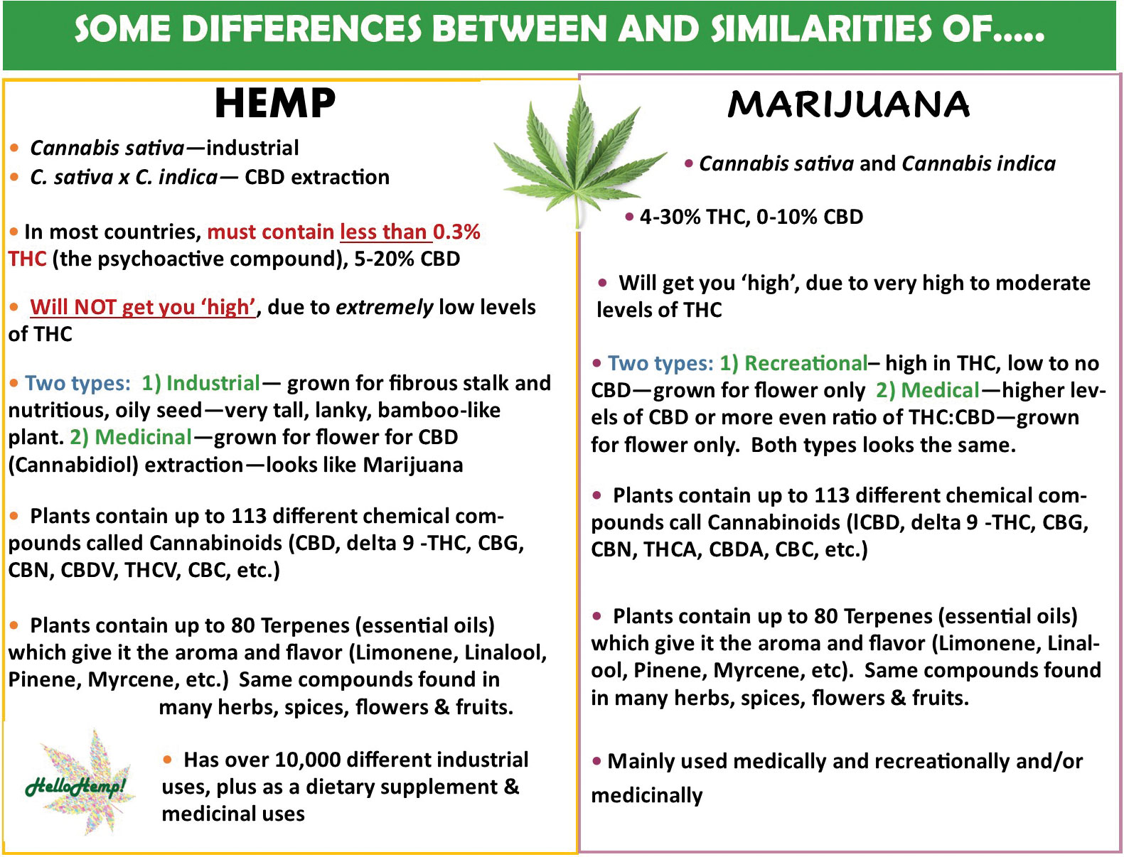 Differences between hemp and marijuana