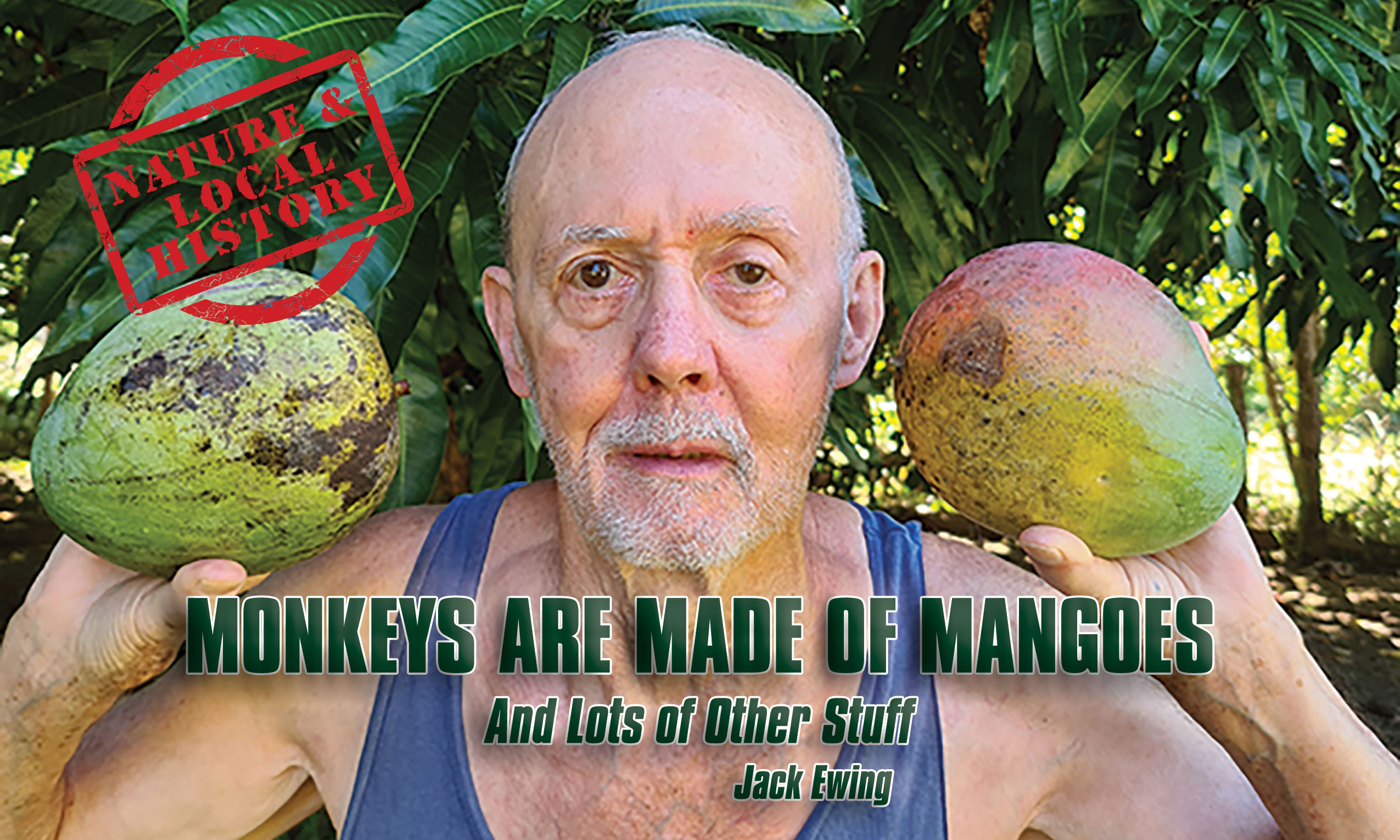 Jack holding two big mangoes, header
