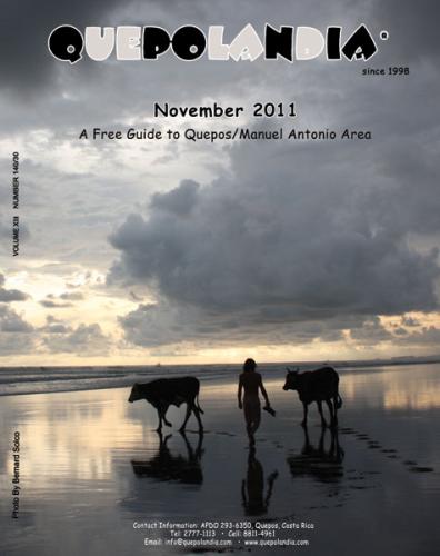 029cover-nov-2011